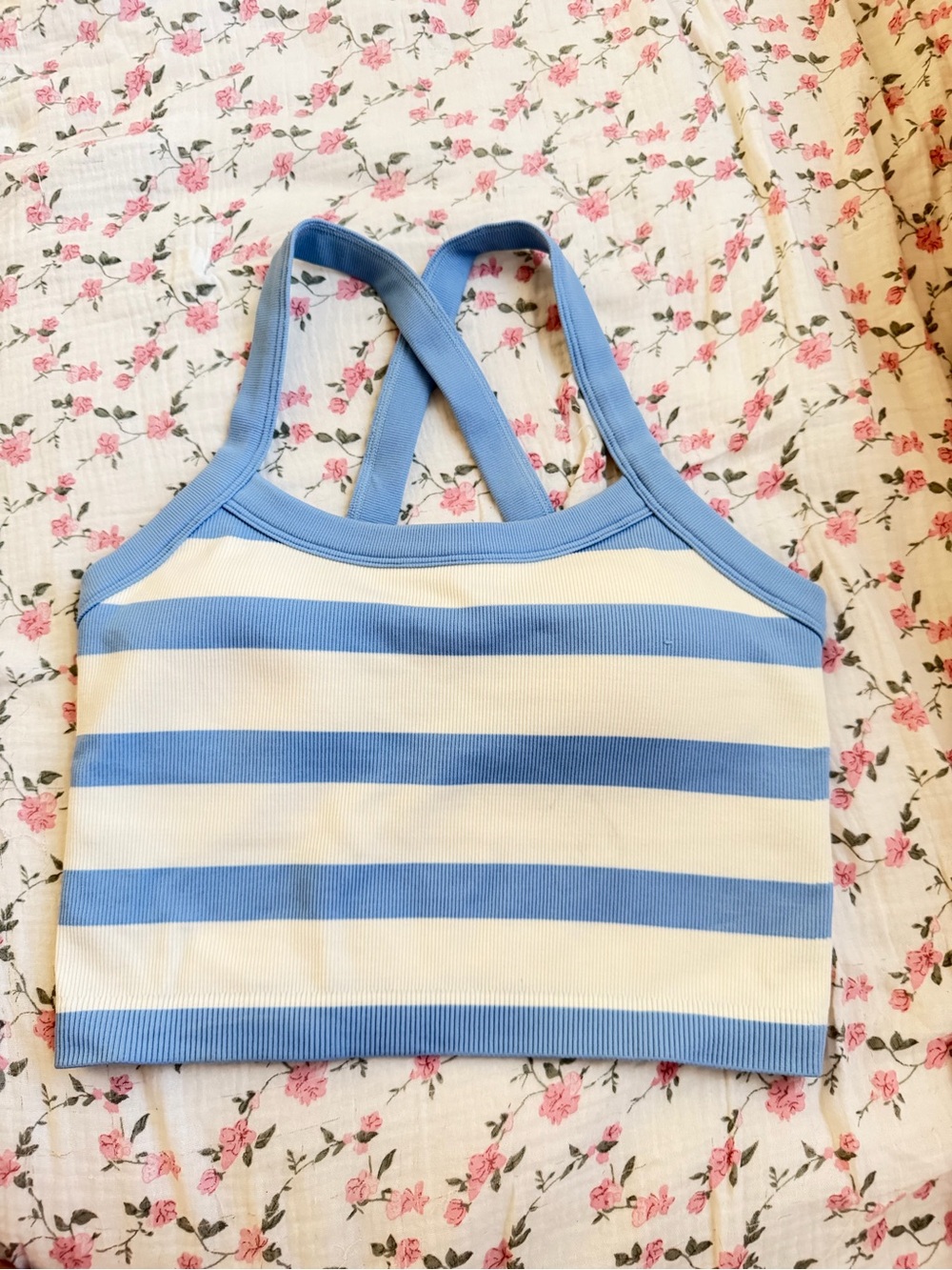 Target Blue and Cream Striped Knit Crop Top